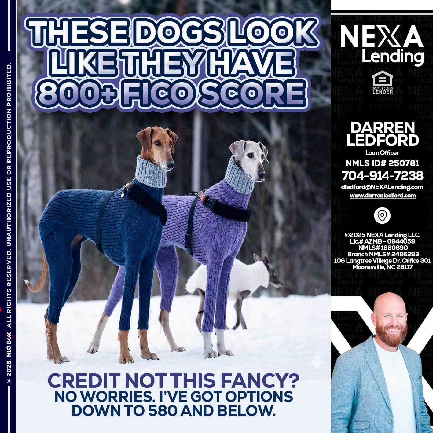 THESE DOGS LOOK - Darren Ledford -Loan Officer